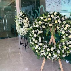 Floreria Botanica