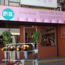Floreria Boutique By Erico