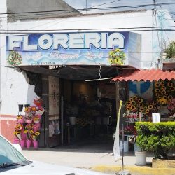 Florería Brayan