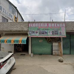Floreria Brenda