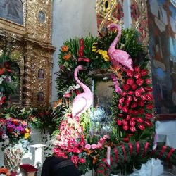 Floreria Brenda