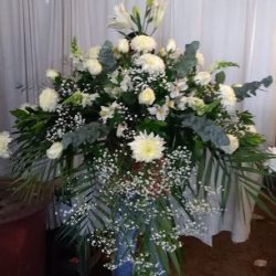 Floreria Bridget