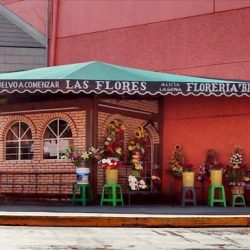 Florería Brisia