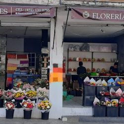 Florería Buchones