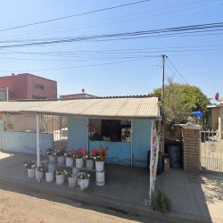 Florería Buenavista