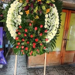 FlorerÍa Buenavista