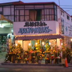 Floreria Bugambilias