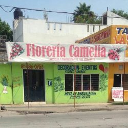 Floreria Camelia