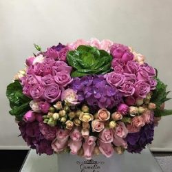 FlorerÍa Camelia Garden