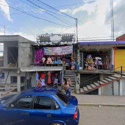 Floreria Camila