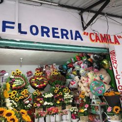 Floreria Camila