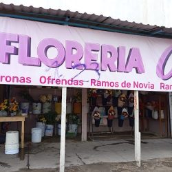 Florería Camila
