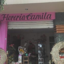 Floreria Camila