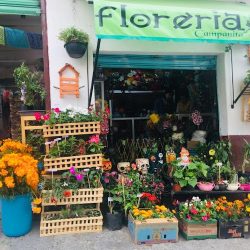 Florería "campanita"