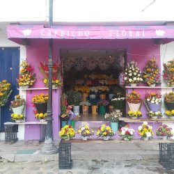 Florería "capricho Floral"