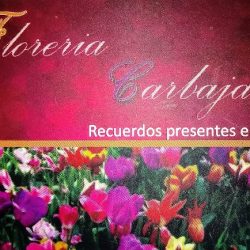 Florería Carbajal