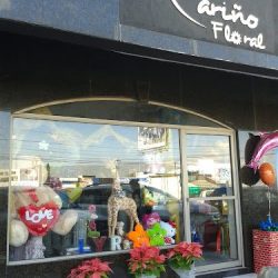 Floreria, Cariño Floral