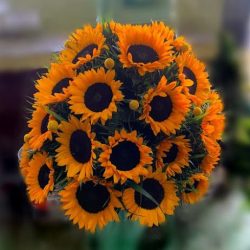 Florería Carlitos