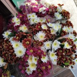 Florería "carlitos"