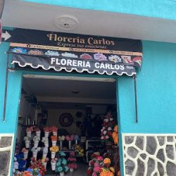 Florería Carlos