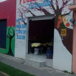 Florería Carmelita