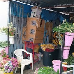 Florería Carmen