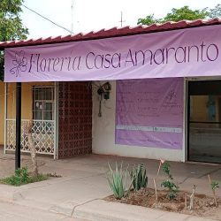 Floreria Casa Amaranto San Miguel Zapotitaln