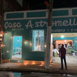 Floreria Casa Astromelia & Showroom