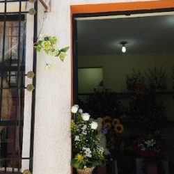 Floreria Casa Blanca