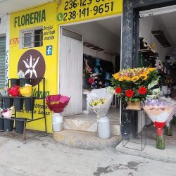 Florería Casa Blanca