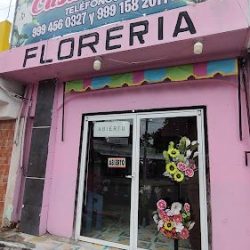 Florería Casa Blanca
