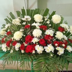 Floreria Casa Blanca