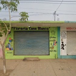 Floreria Casa Blanca