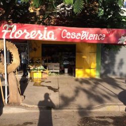 Florería Casa Blanca