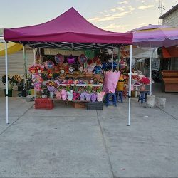 Florería Cassiel