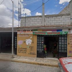 Floreria Castillo
