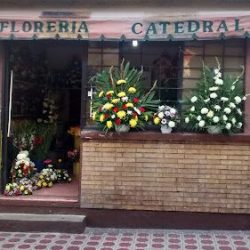 Florería Catedral