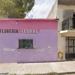Floreria Cedral