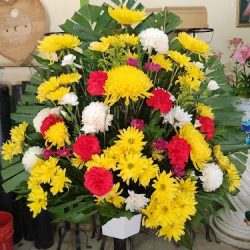 Floreria Celeste