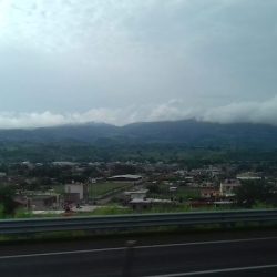 Florería Celia