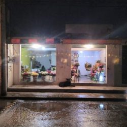 Florería Centenario
