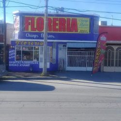 Florería Champ's Elysees