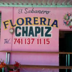 Floreria Chapiz