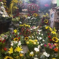 Floreria Charly