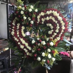 Florería "chelito"
