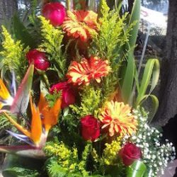 Floreria Chely's