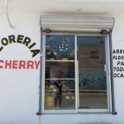 Florería Cherry