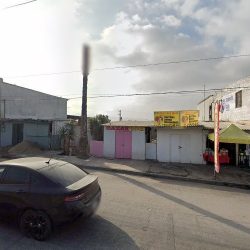 Florería Chikorita