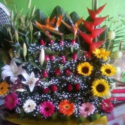 Floreria "chimbombo's"