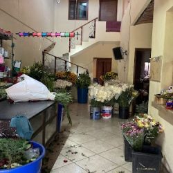 Florería China